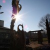 Vogelbaum (Kakteenland)